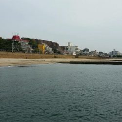 未明～昼まで須磨海岸西側をランガン。貧果に終わりました…。